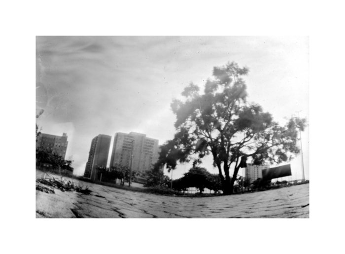 pinhole photograph