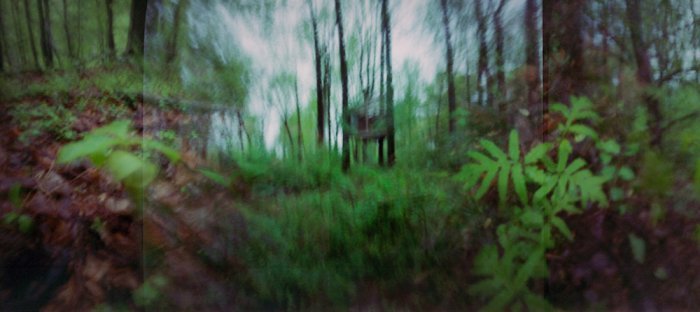 pinhole photograph