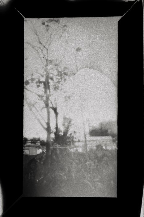 pinhole photograph