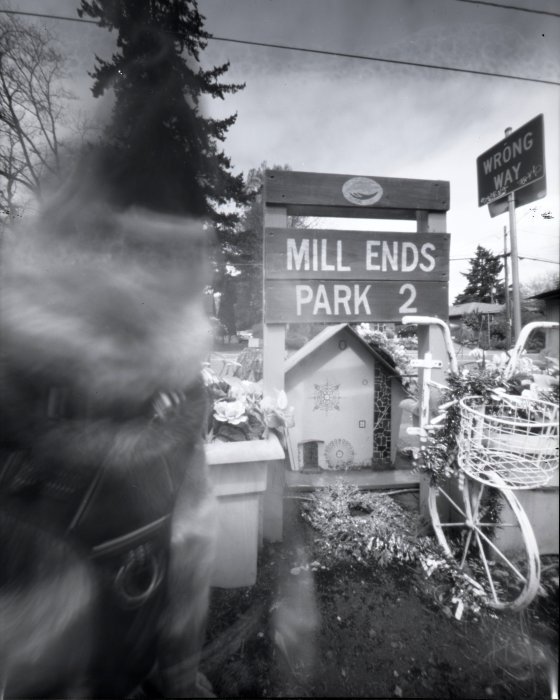 pinhole photograph