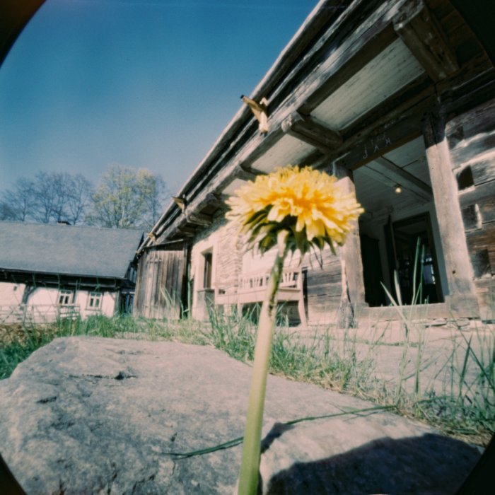 pinhole photograph