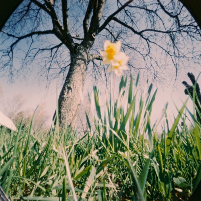 pinhole photograph