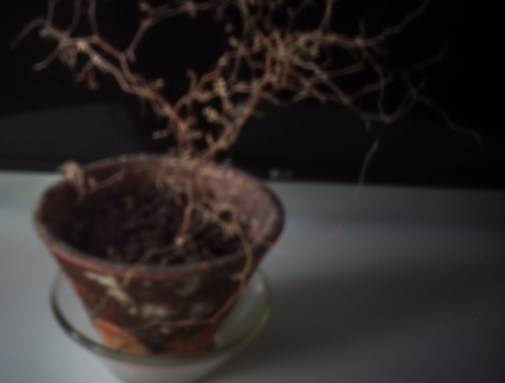 pinhole photograph