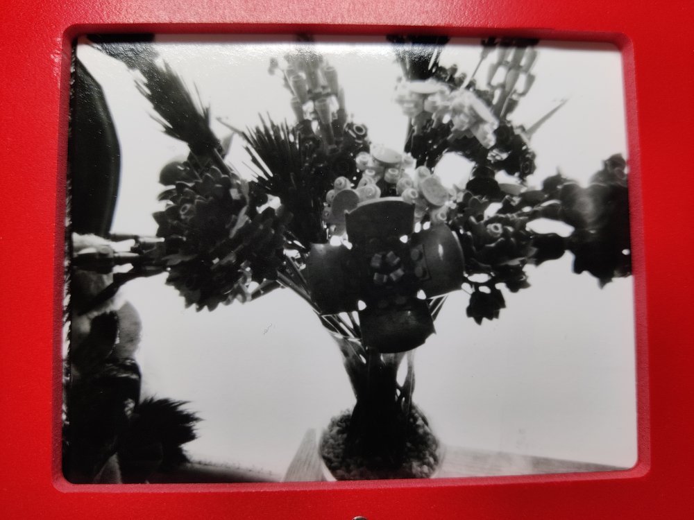 pinhole photograph