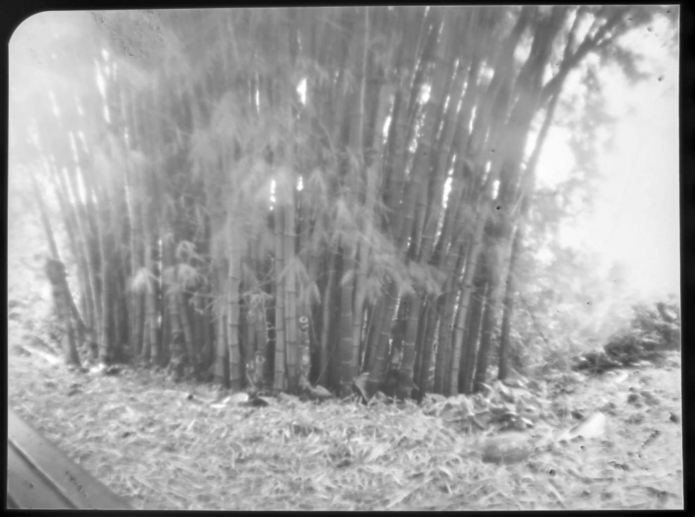 pinhole photograph