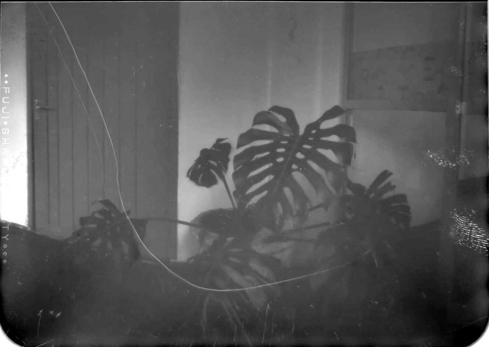 pinhole photograph