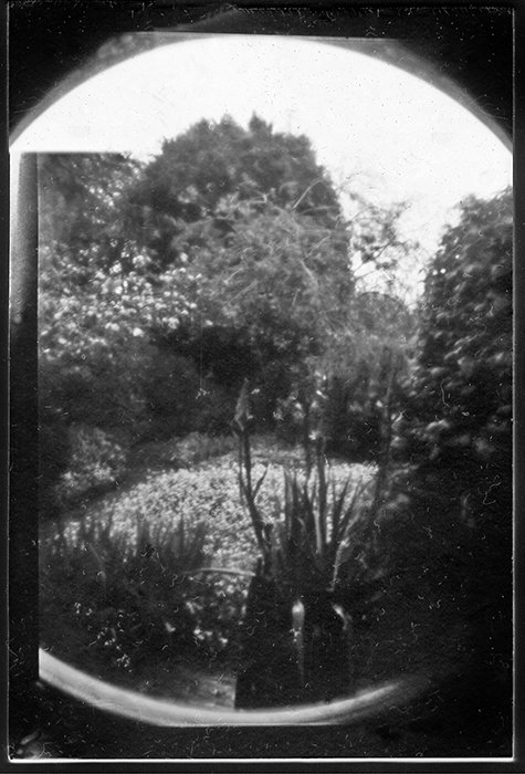 pinhole photograph