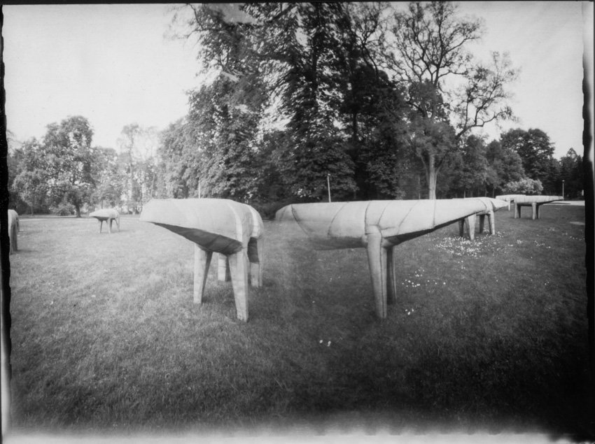 pinhole photograph