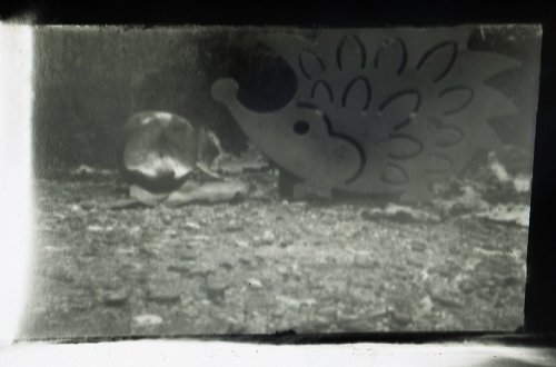 pinhole photograph