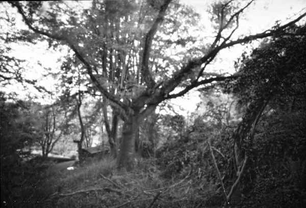 pinhole photograph