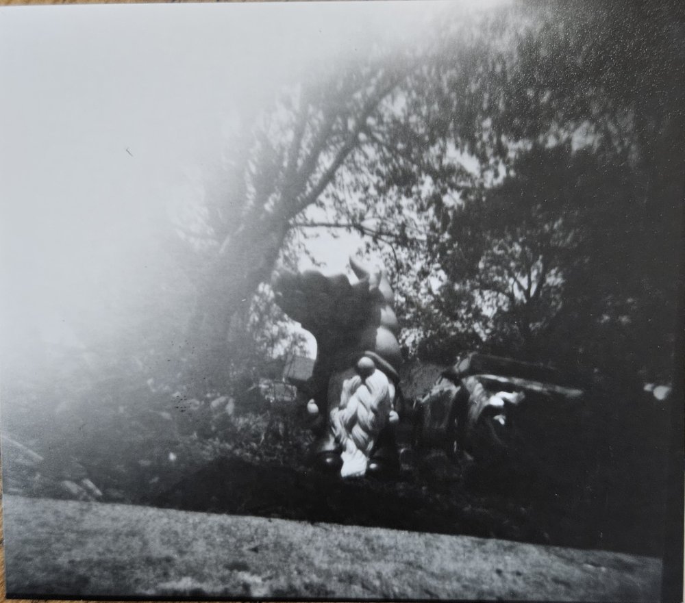 pinhole photograph