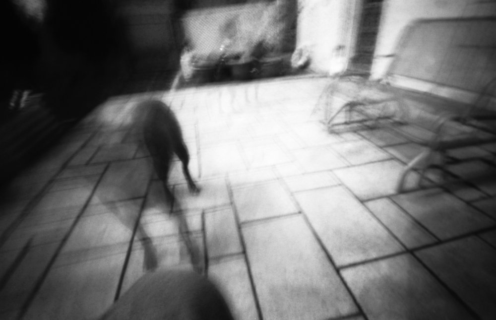 pinhole photograph