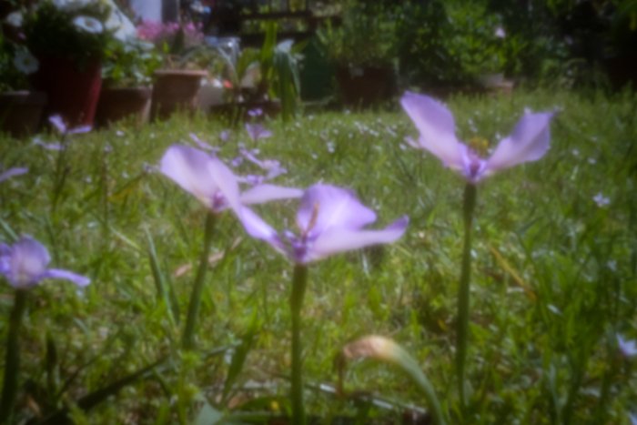 pinhole photograph