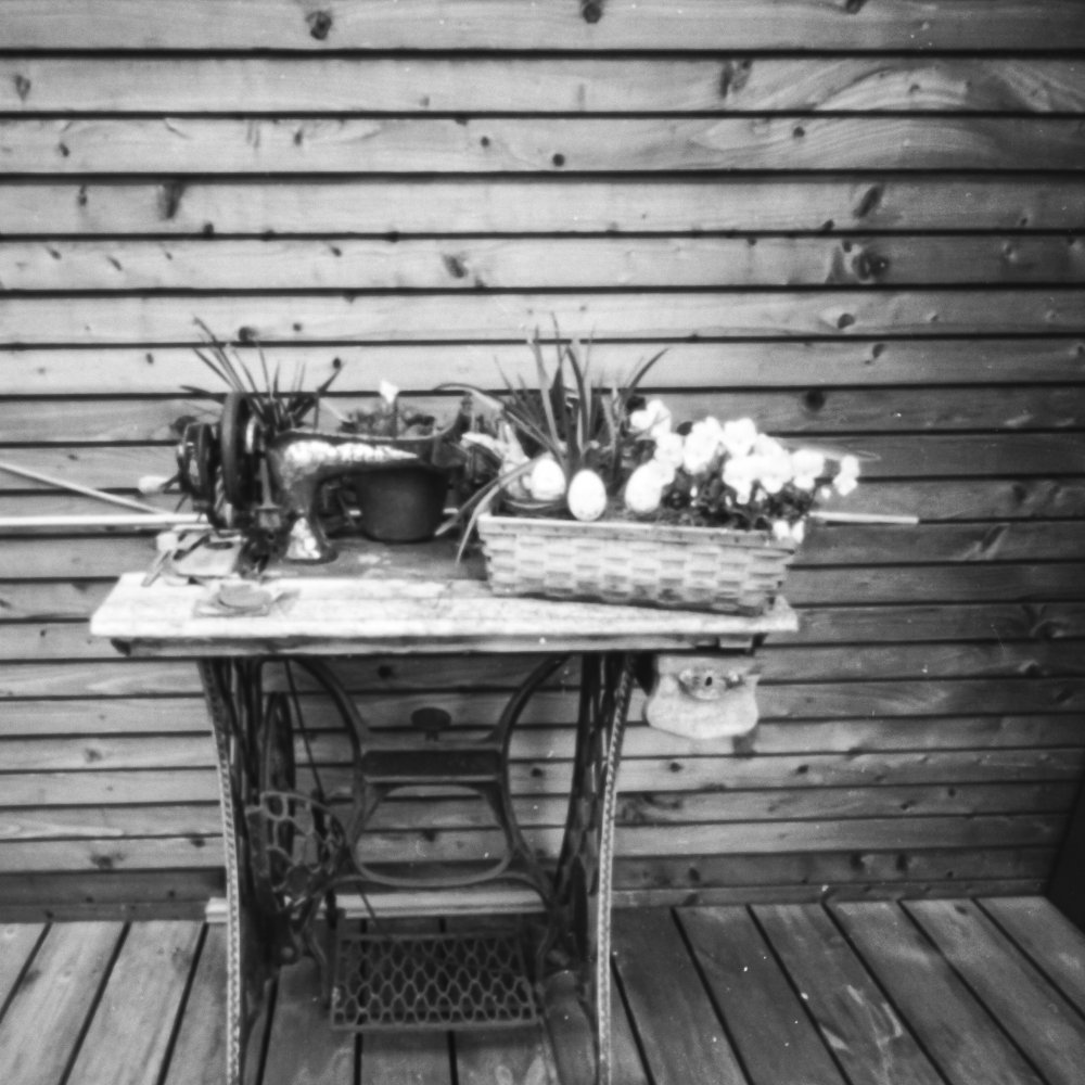 pinhole photograph