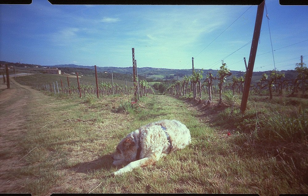 pinhole photograph