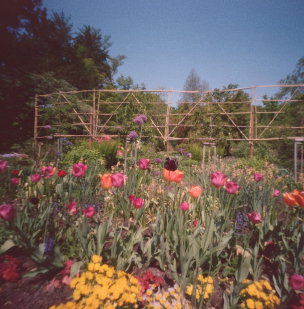 pinhole photograph