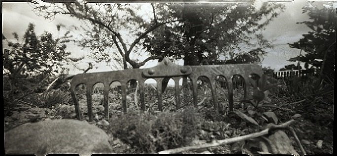 pinhole photograph