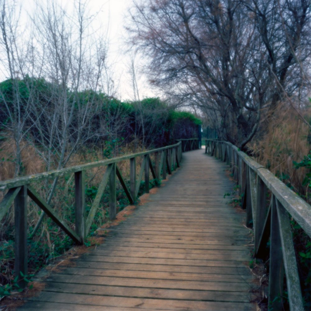 pinhole photograph