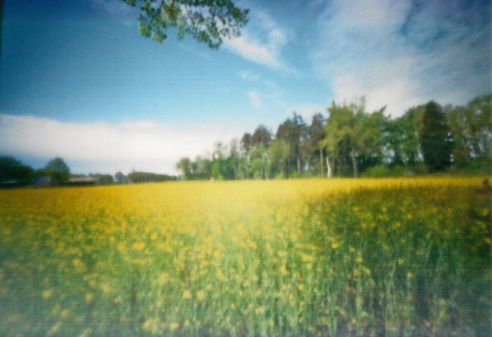 pinhole photograph