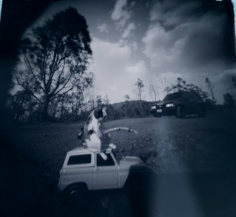 pinhole photograph