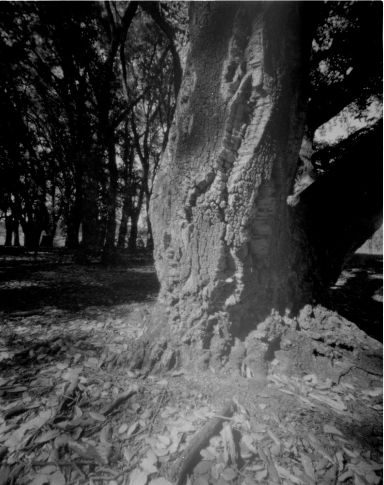 pinhole photograph