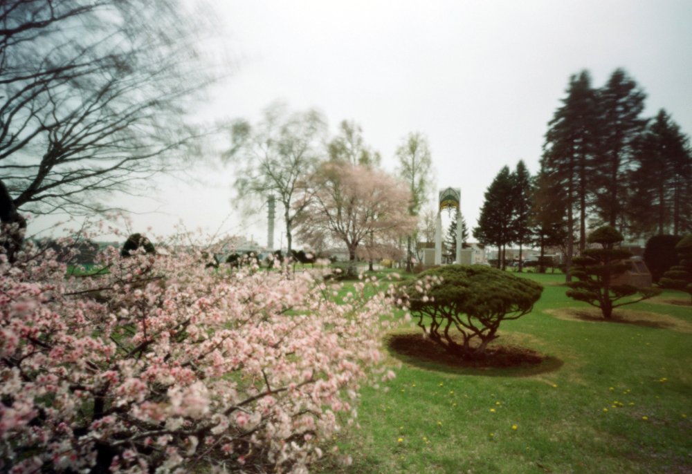 pinhole photograph