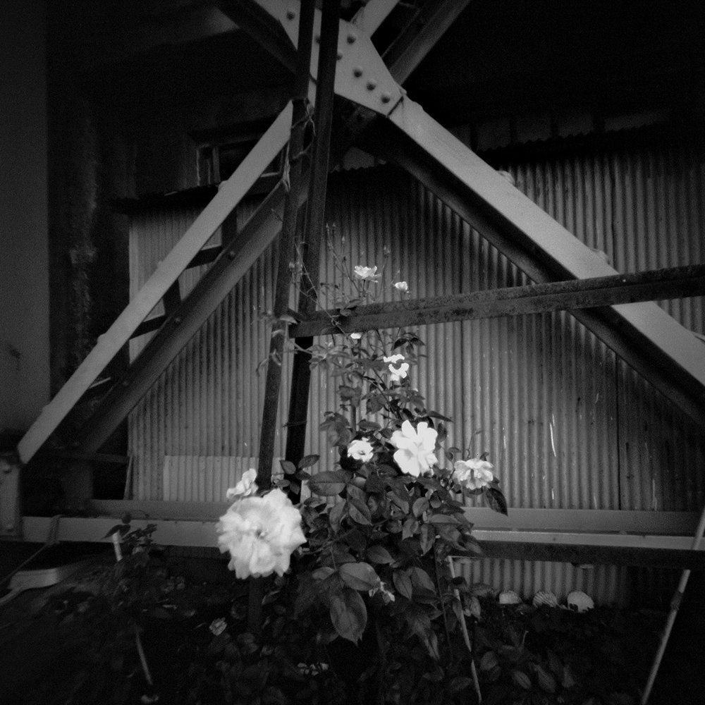 pinhole photograph