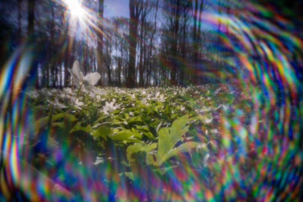 pinhole photograph