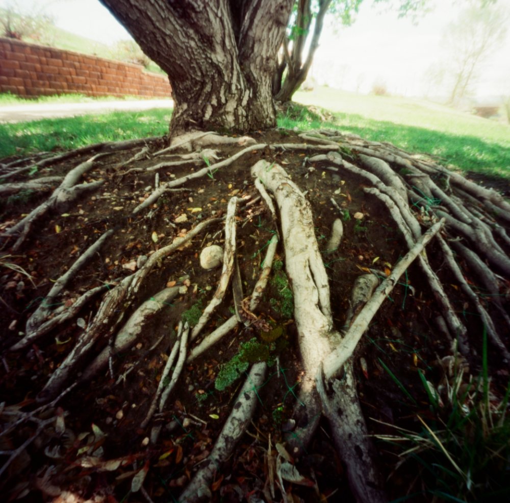 pinhole photograph