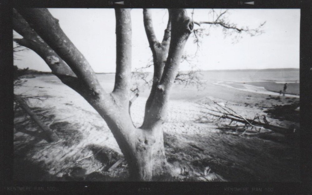 pinhole photograph