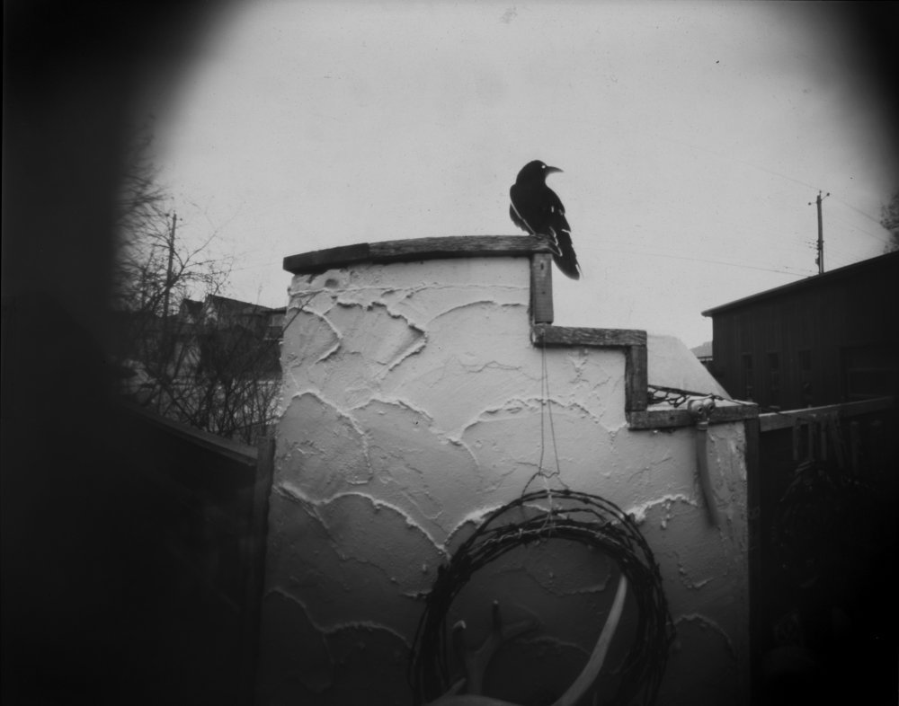 pinhole photograph