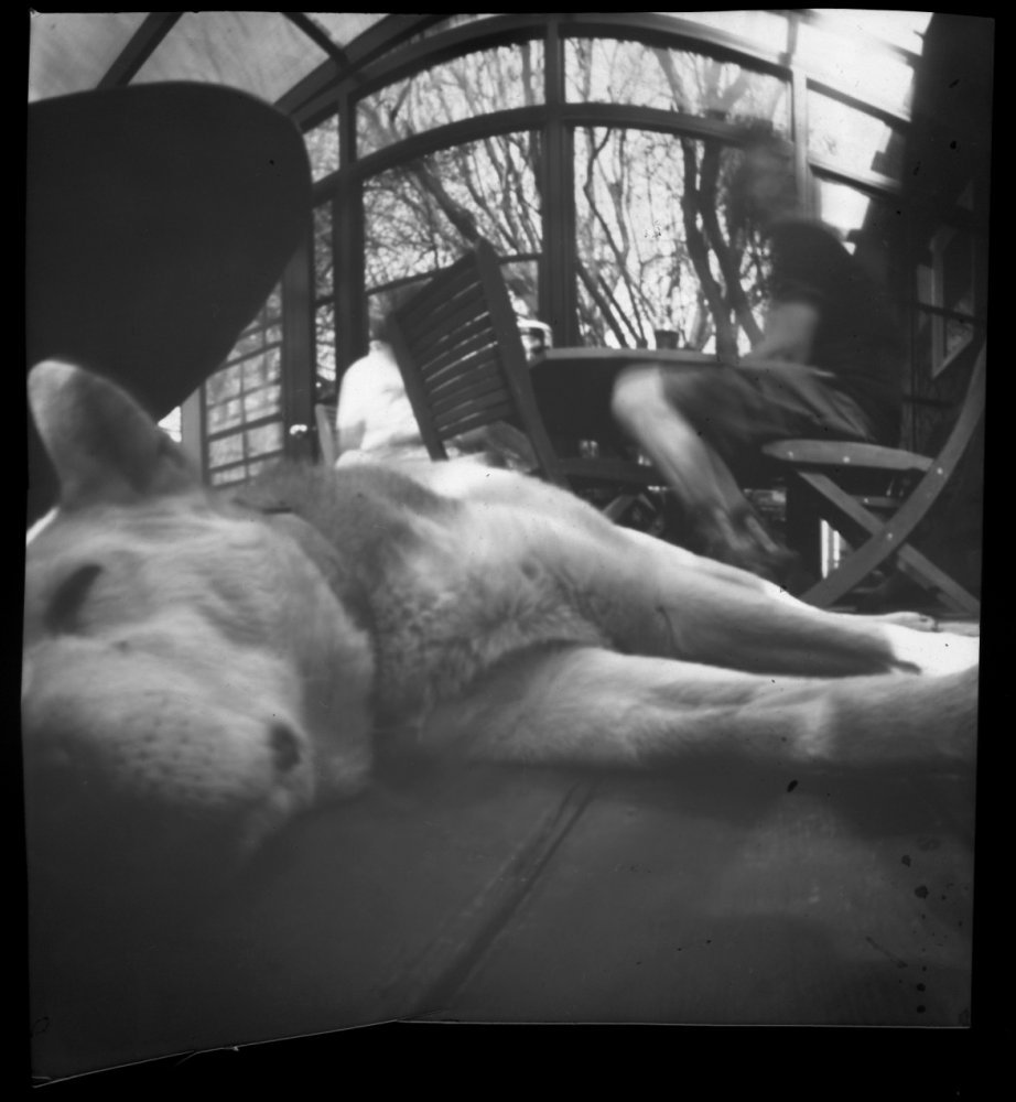 pinhole photograph