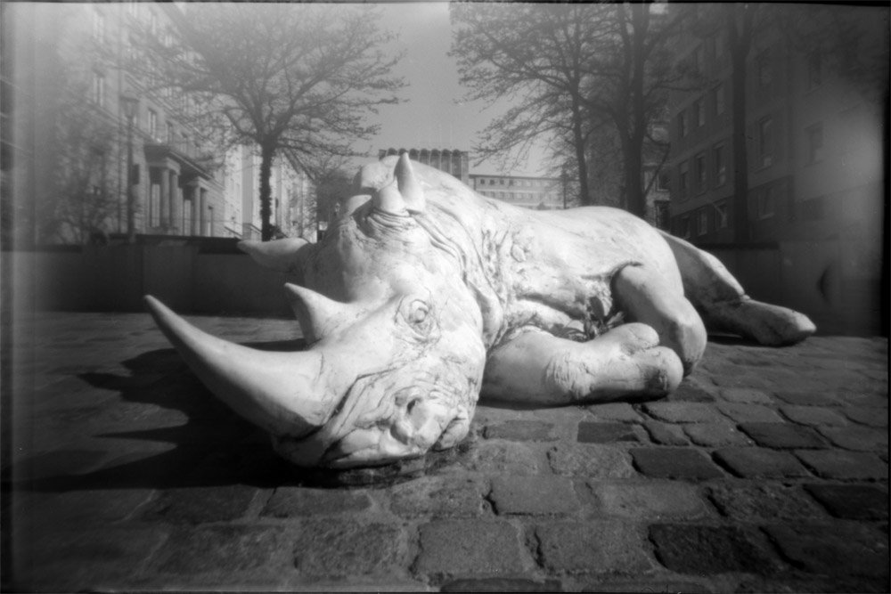 pinhole photograph