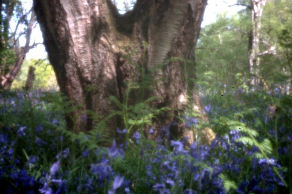 pinhole photograph