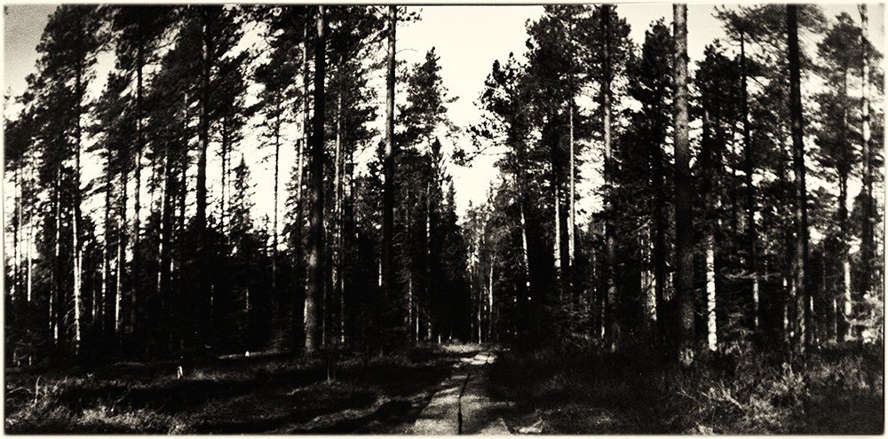 pinhole photograph