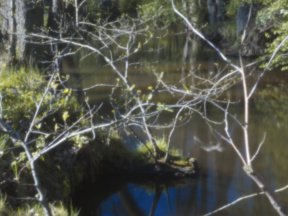 pinhole photograph
