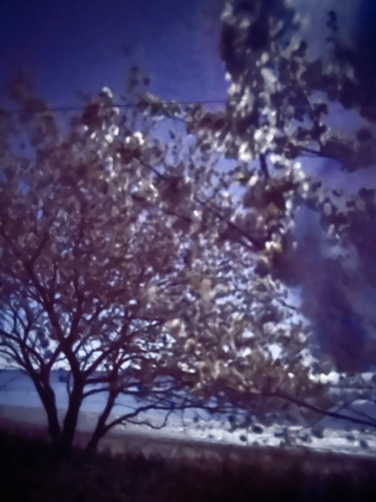 pinhole photograph