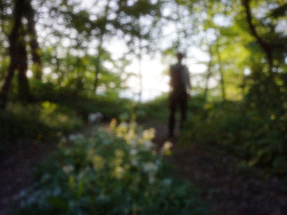 pinhole photograph