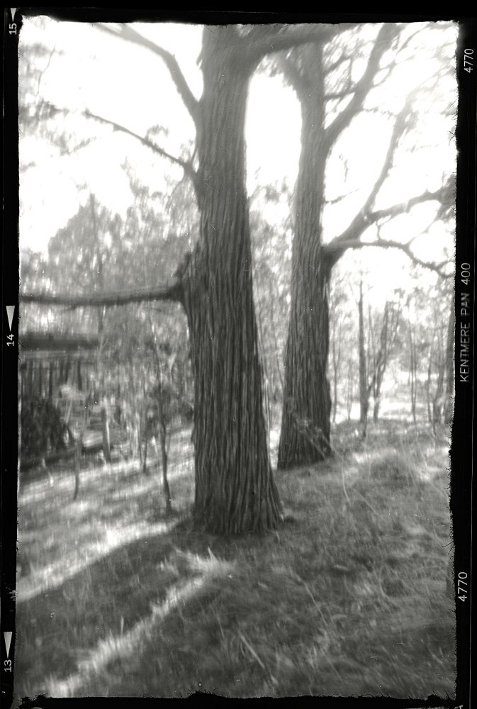 pinhole photograph