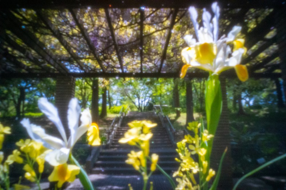 pinhole photograph