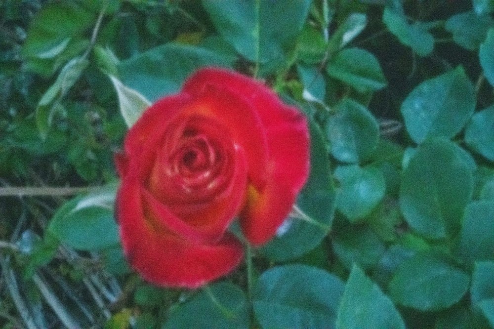 pinhole photograph
