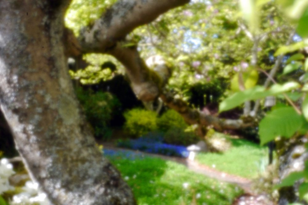 pinhole photograph