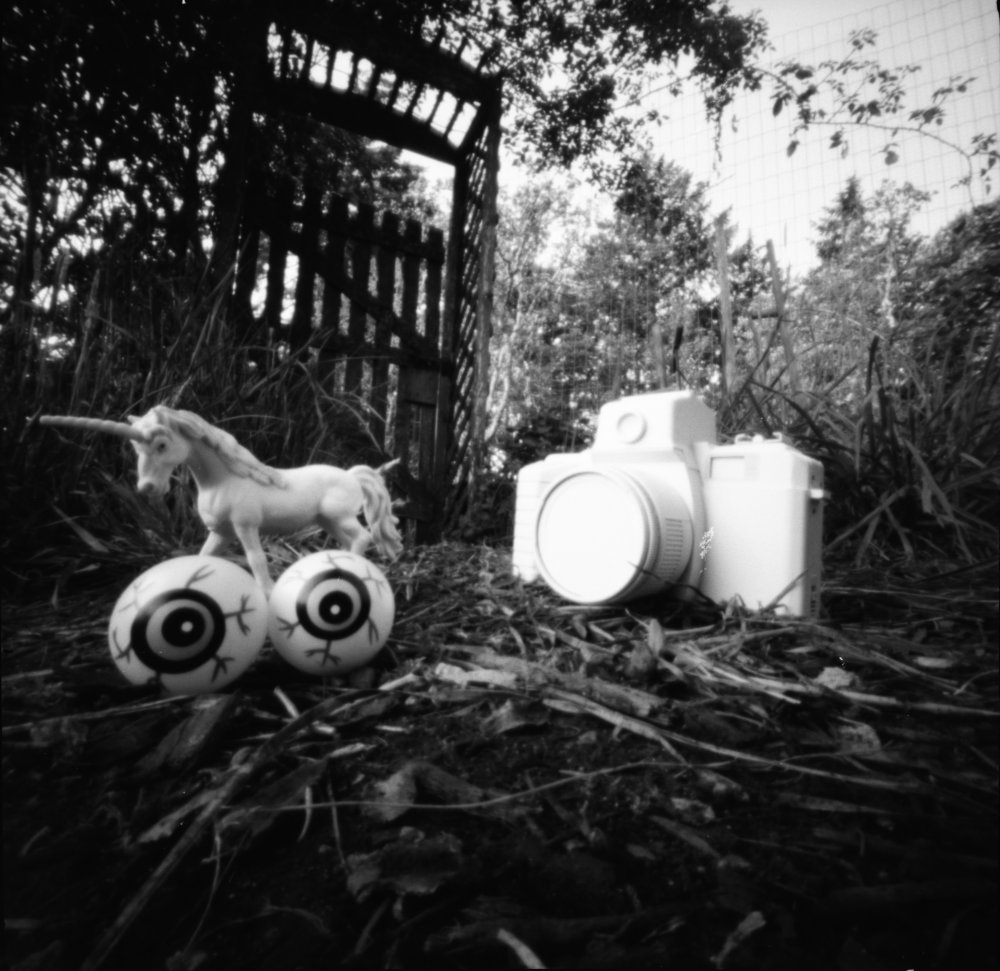 pinhole photograph