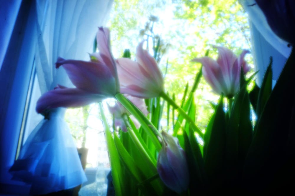 pinhole photograph