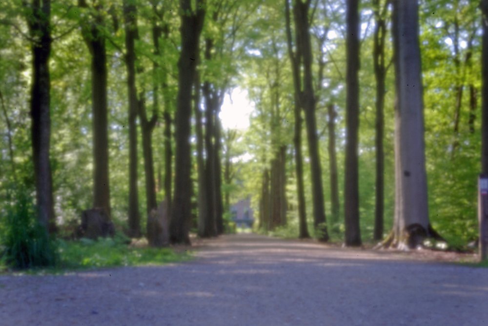 pinhole photograph