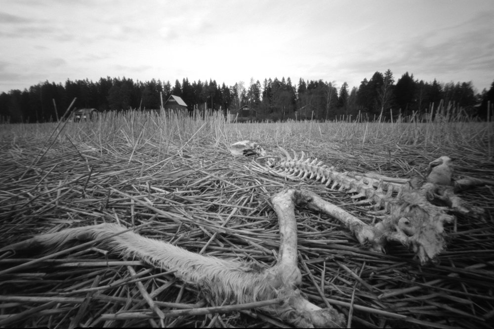 pinhole photograph