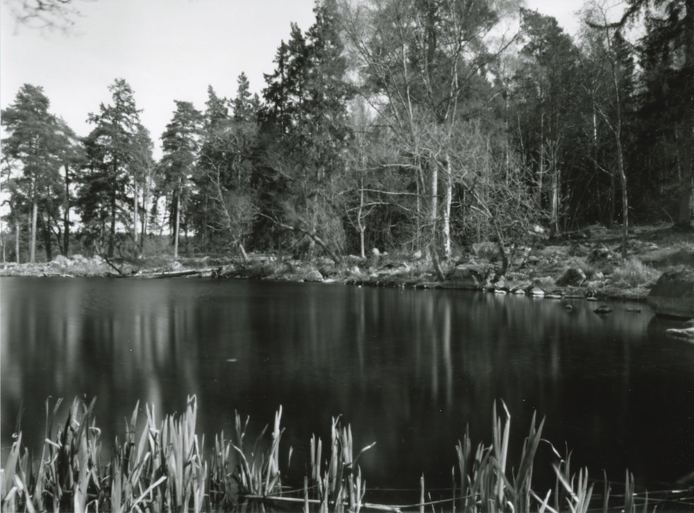pinhole photograph