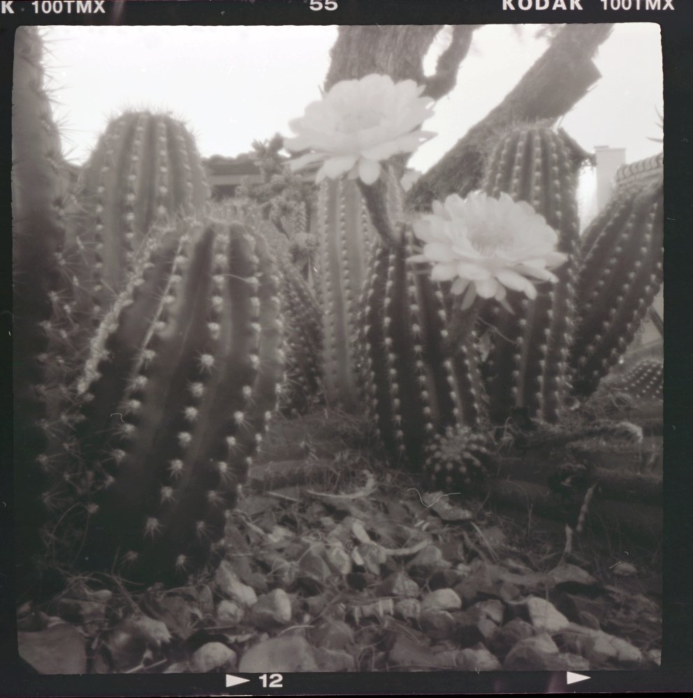 pinhole photograph