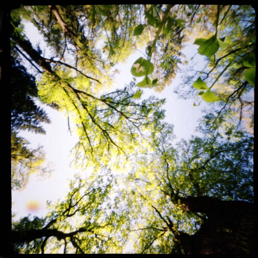 pinhole photograph