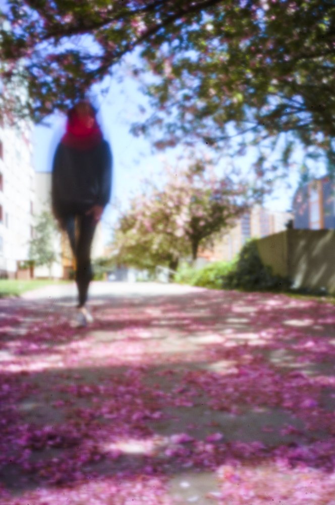 pinhole photograph